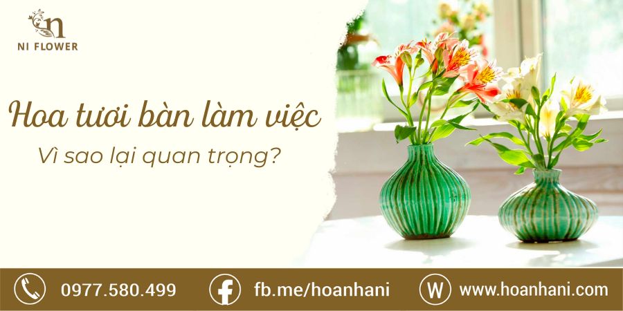 Top 10 hoa tươi để bàn làm việc theo phong thủy, may mắn