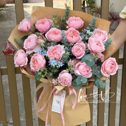 Bó Hồng – NLB116